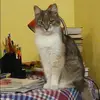 Отзыв от Александра Блинова